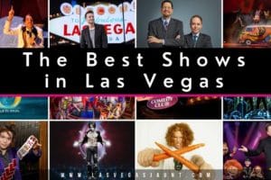 The Best Shows in Las Vegas